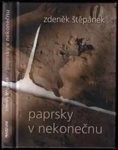 Paprsky v nekonečnu
