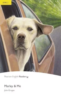 PER | Level 2: Marley and Me