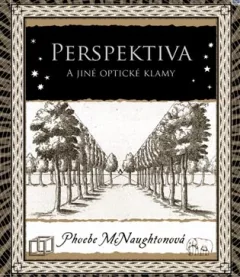 Perspektiva a jiné optické klamy