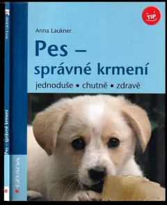 Pes - správné krmení