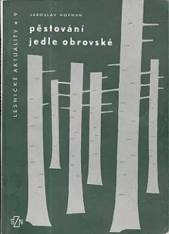 Pěstování jedle obrovské