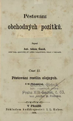 Pěstování obchodních požitků Část II.
