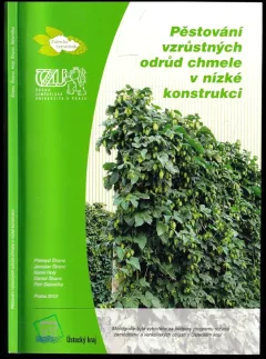 Pěstování vzrůstných odrůd chmele v nízké konstrukci