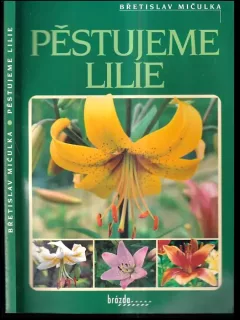 Pěstujeme lilie