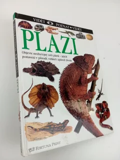 Plazi