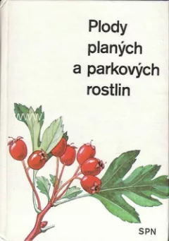 Plody planých a parkových rostlin