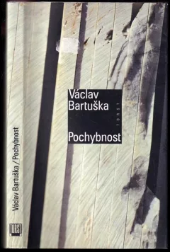 Pochybnost