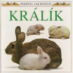 Podívej, jak rostou: Králík