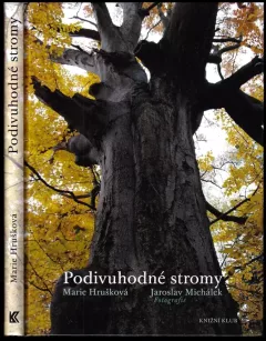 Podivuhodné stromy