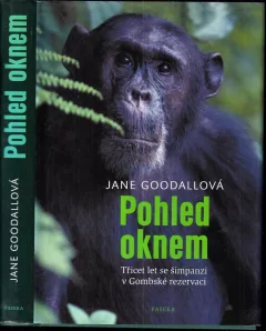 Pohled oknem