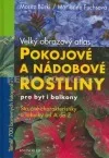 Pokojové a nádobové rostliny pro byt i balkony