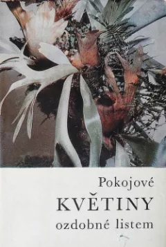 Pokojové květiny ozdobné listem