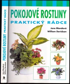 Pokojové rostliny