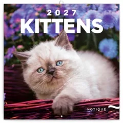 Poznámkový kalendář Koťata 2027
