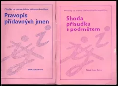 Pravopis přídavných jmen + Shoda přísudku s podmětem