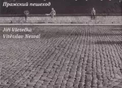 Pražský chodec