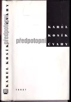 Předpotopní úvahy