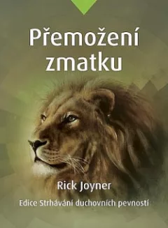 Přemožení zmatku