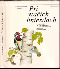 Pri vtáčích hniezdach