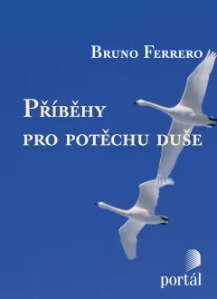 Příběhy pro potěchu duše, e-kniha