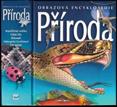 Příroda