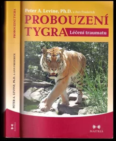 Probouzení tygra