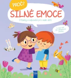 Proč? Silné emoce