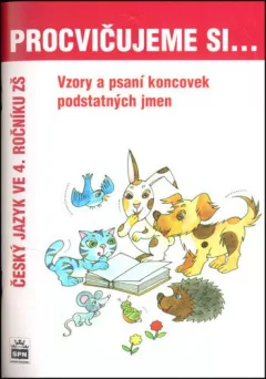 Procvičujeme si vzory a psaní koncovek podstatných jmen pro 4. r. ZŠ