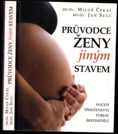 Průvodce ženy jiným stavem