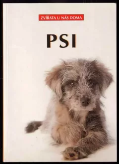 Psi