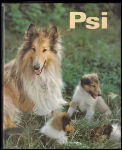 Psi