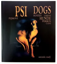 Psi, pejskové