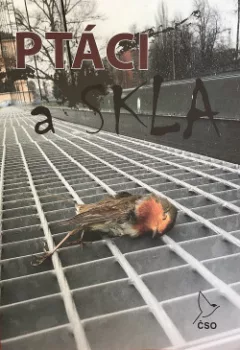 Ptáci a skla