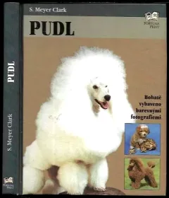 Pudl