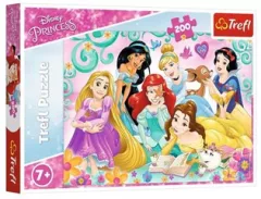 Puzzle - Šťastný svět princezen