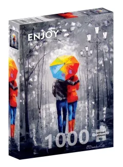 Puzzle Zářivé setkání 1000 dílků