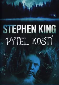 Pytel kostí