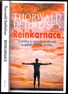Reinkarnace