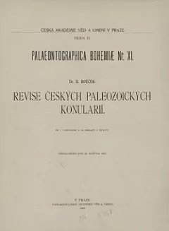 Revize českých paleozoických konulárií