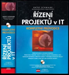 Řízení projektů v IT