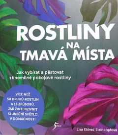 Rostliny na tmavá místa
