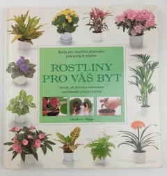 Rostliny pro váš byt