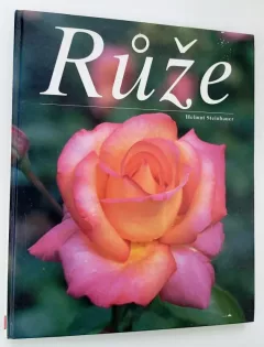 Růže