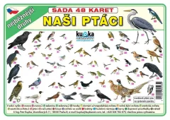 Sada 48 karet - Naši ptáci
