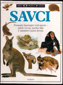 Savci