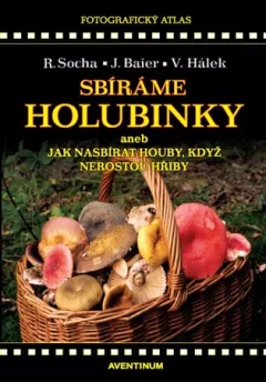 Sbíráme holubinky aneb jak nasbírat houby, když nerostou hřiby