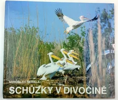 Schůzky v divočině