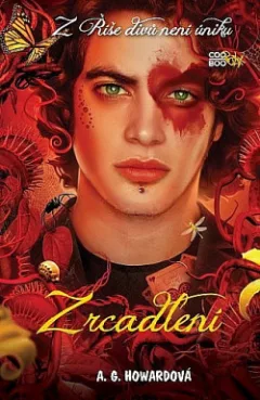 Zrcadlení