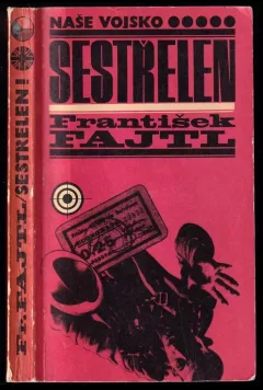 Sestřelen