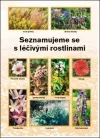 Seznamujeme se s léčivými rostlinami